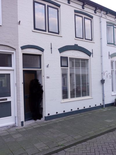 De Ruijterstraat 50