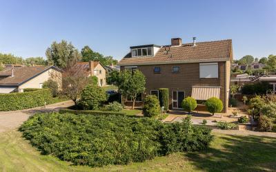 Bulckesteyn. 40