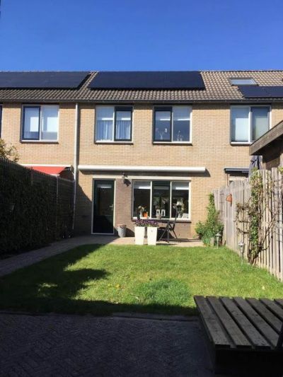 Goudrenet 22