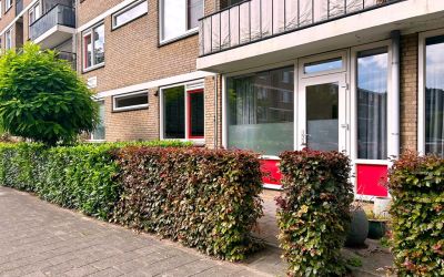 Wieldraaier. 33