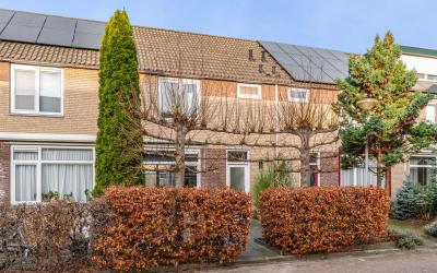 Dokter Baue. 114