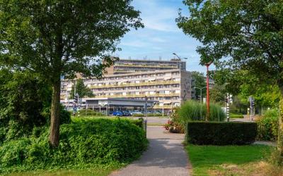Dokter van. 310