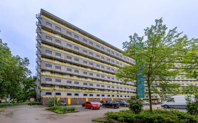 Dokter van. 366