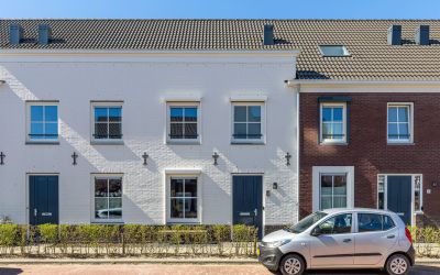 Boterbloem 6