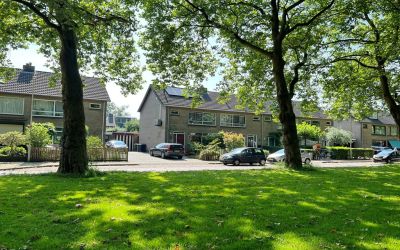 Kleine Haar. 109