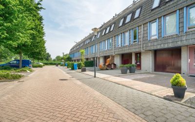Pippeloentje 17