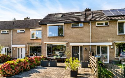 Tuin 3