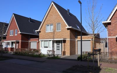 Kievit 12