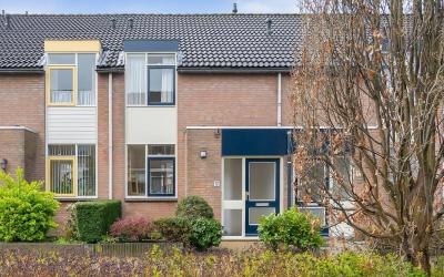 Zilverschoon 12