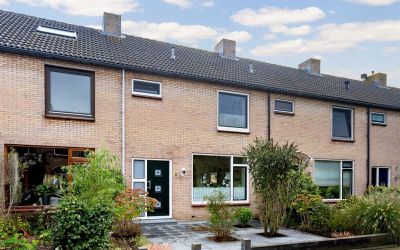 Olmenhof 8