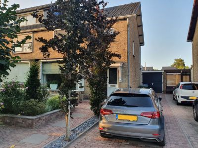 Vijfmorgen 22