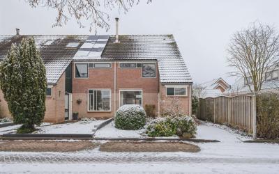Lijsterbesh. 1
