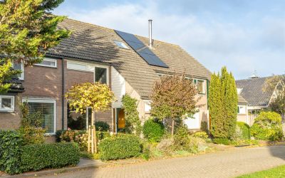 Lijsterbesh. 3