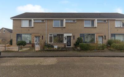 Cactusstraat 3