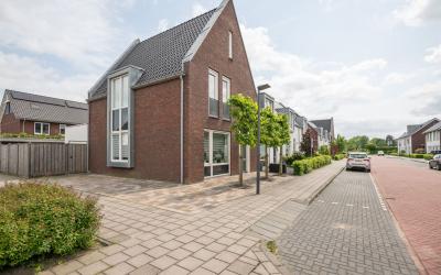 Janbaas 16