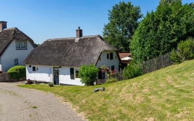 Maasdijk 241