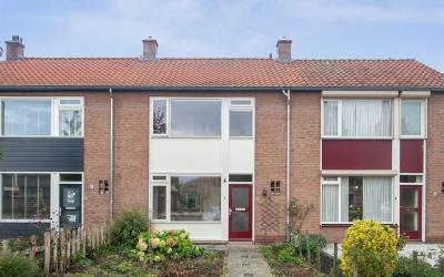 Tulpstraat 10