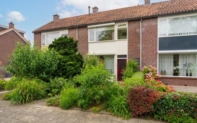 Tulpstraat 22