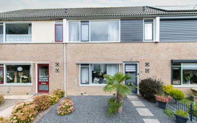 Mart. van R. 14