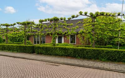 Hofflaan 13
