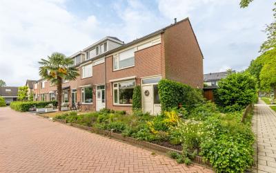 Steurstraat 41