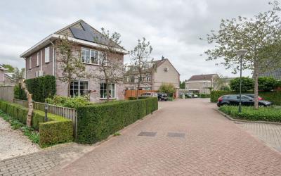 Vlinderslag 36