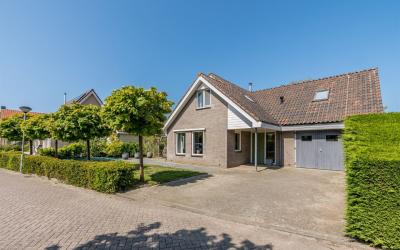 Scholekster. 7
