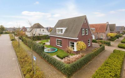 Stoofheule 19