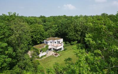 Essebos 1