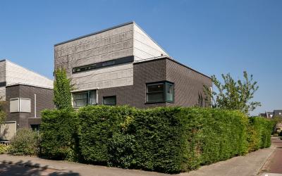 Scholekster. 8