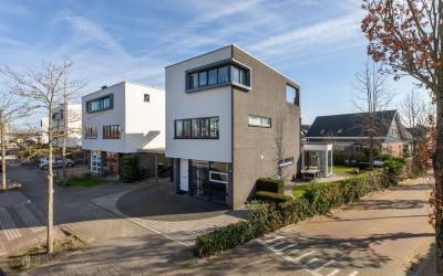 Scholekster. 44