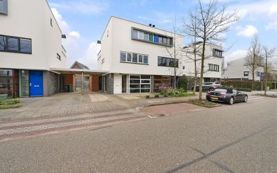 Scholekster. 48
