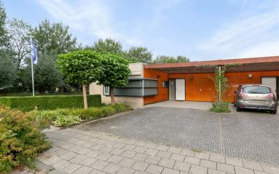 Scholekster. 1