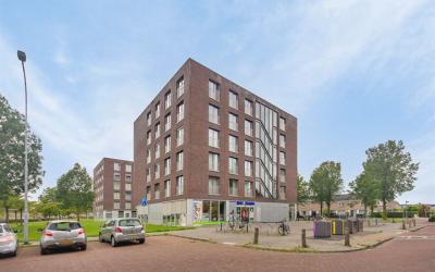 Rentmeester. 49