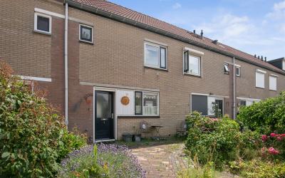 Omloop 55