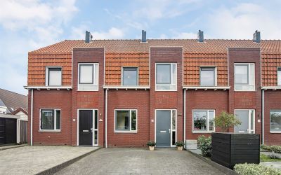 Ridderspoor 12