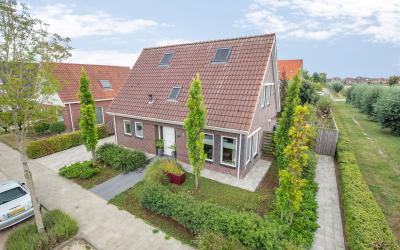 Hengst 25