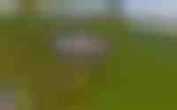 Eikenlaan 4