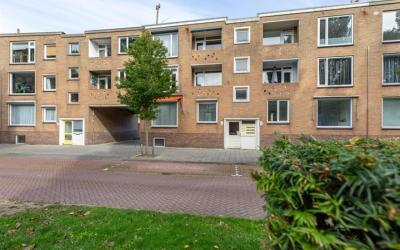 Singel 231