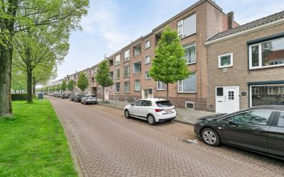 Singel 237