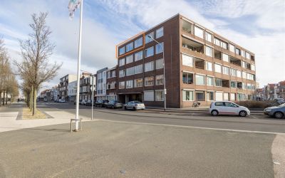 Paul Kruger. 20-554