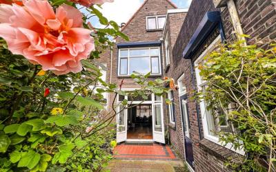 Singel 224