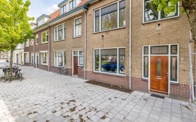 Singel 244