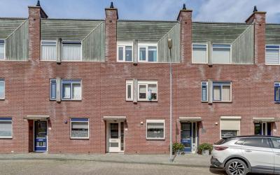 Van Dishoec. 231