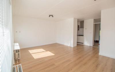 Pieter Post. 41