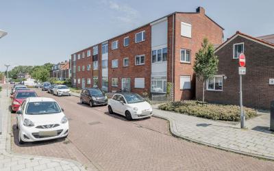Willem van. 8