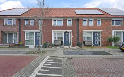 Zeewijksing. 6