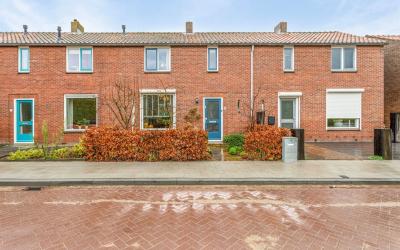Burenpolder. 25