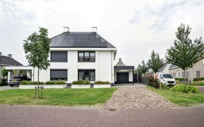 Pieter de H. 7
