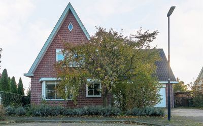 Roerdomp 4